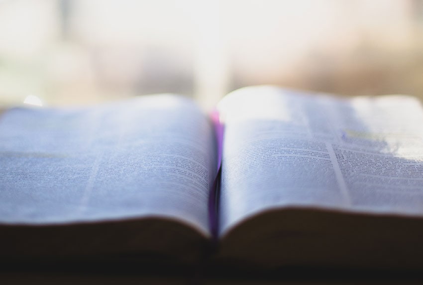Open Bible in front of a window